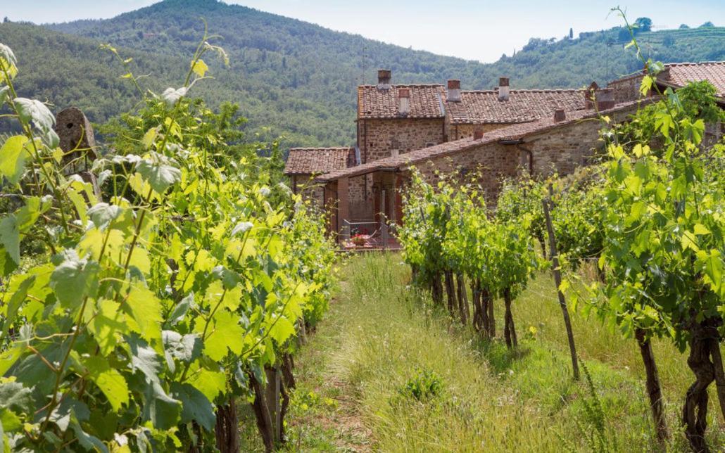 Le Masse Greve in Chianti Buitenkant foto